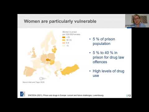 Webinar: Prison and drugs in Europe - current and future challenges