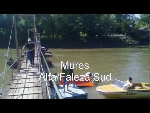 Mures Alfa-Faleza Sud