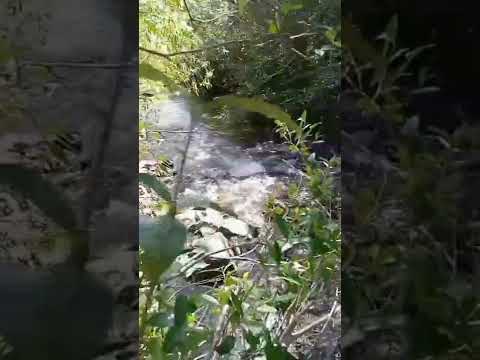 Laguna y Cascada de los Olivera (Quebrada de los Cuervos, Treinta y Tres, Uruguay 🇺🇾) Marzo 2021