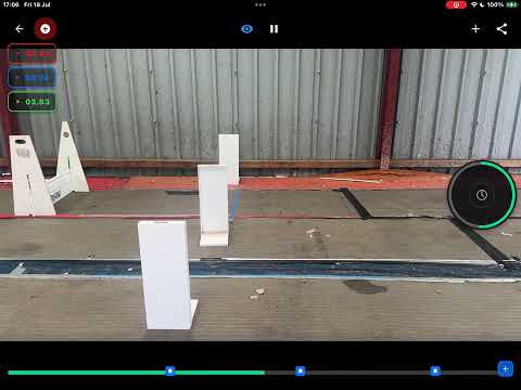 Flyball Vision