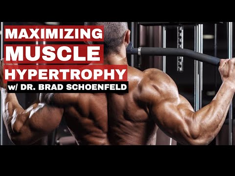 Training Volume (Less Than You Think) for Muscle Hypertrophy w/ Dr  Brad Schoenfeld