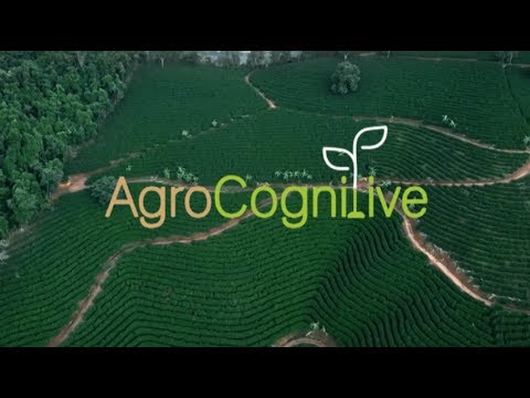 AgroCognitive video thumbnail