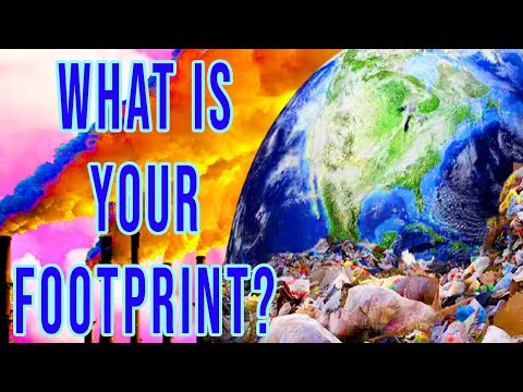 Carbon Footprint Explained | Find Out Your Impact