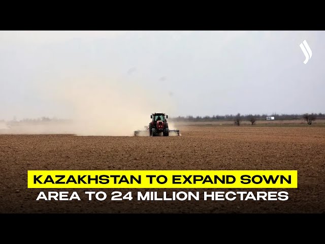 Kazakhstan to expand sown area to 24 million hectares