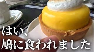 これ以下は無いニース観光記録【フランス 男 二人旅】