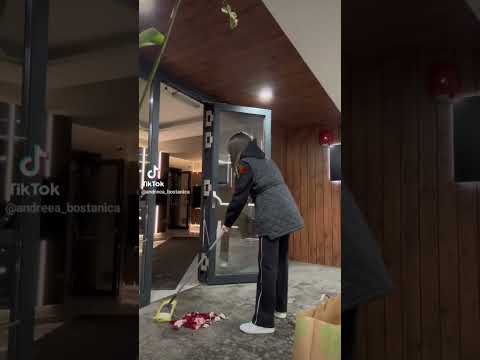 Andreea Bostanica #tiktok #foryou