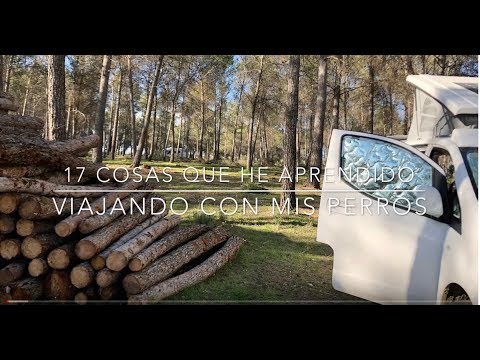 17 Cosas QUE HE Aprendido / Recordado Viajando CON MIS Perros