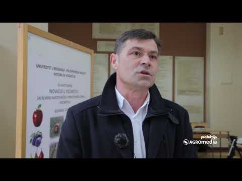 Više im odgovara Srbija: Rasadničari iz Evrope sele svoju proizvodnju