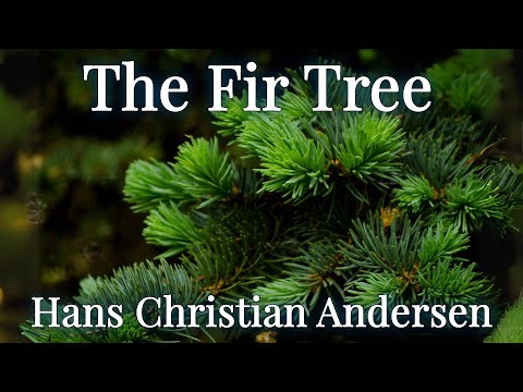 🎄 'The Fir Tree' - Hans Christian Andersen's Heartwarming Fairy Tale Audiobook 🌟