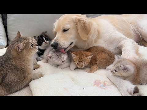 YouTube 썸네일