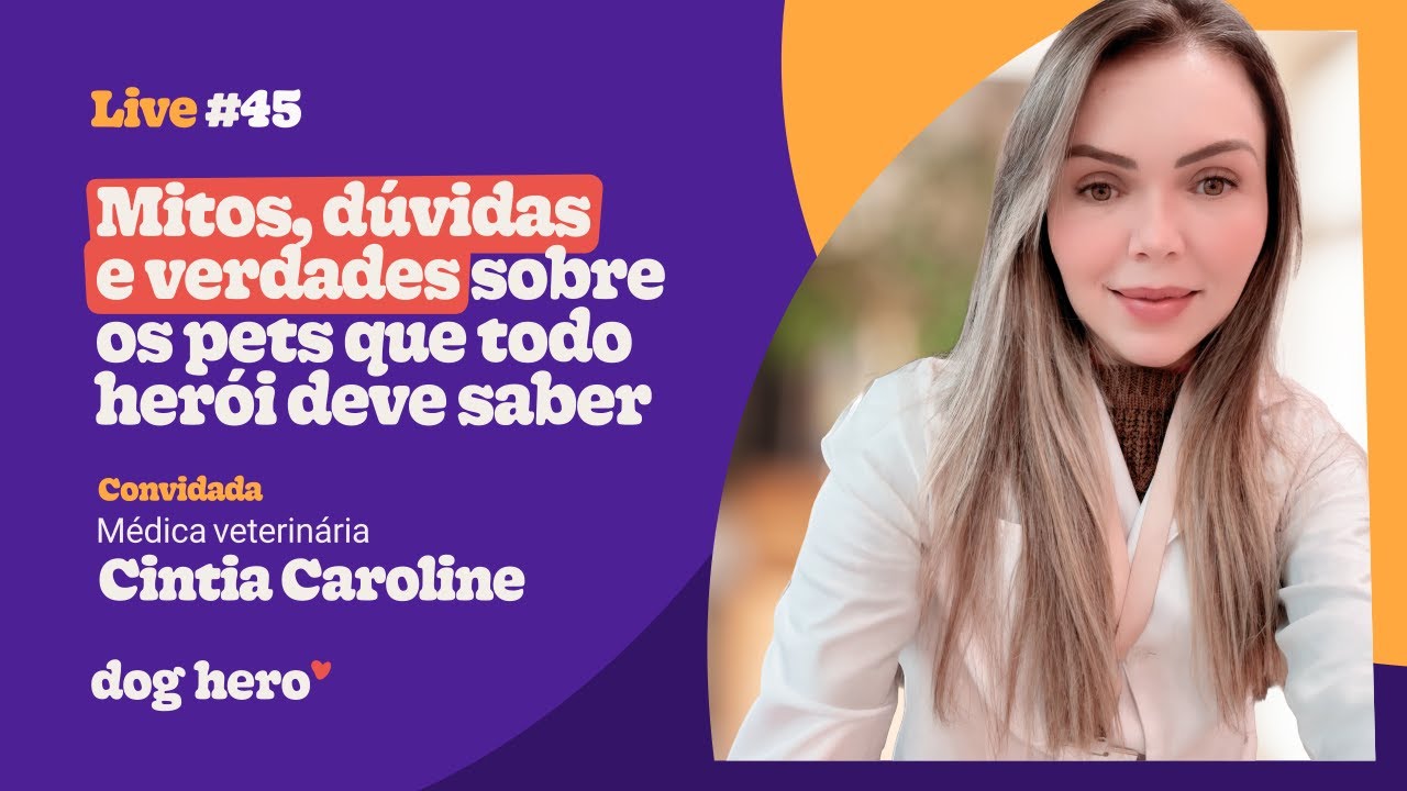 Mitos, dúvidas e verdades sobre os pets que TODO HERÓI DEVERIA SABER