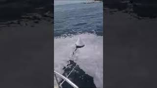 schiuma-bianca-a-mergellina-allertata-l-arpac