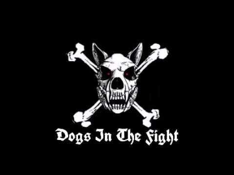 DOGS IN THE FIGHT