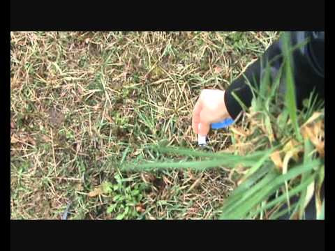 700000 Abonnenten Spezial