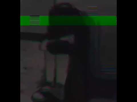 Shiah Maisel - Stay, But The Void Is Filling Your Soul.