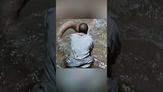 Dune part 2 - How to get Water of Life -  Little Sandworm #shorts