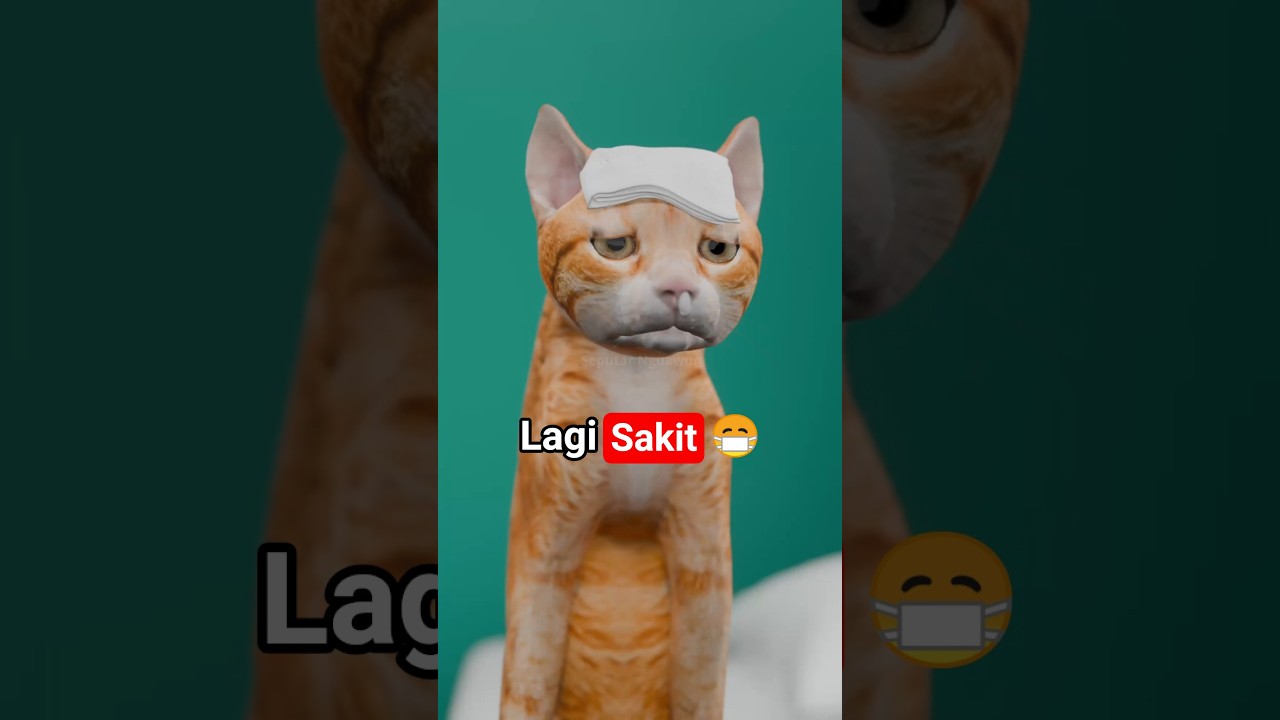 Sakit 😷  #seputarnguawur