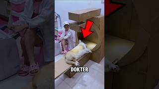 Download lagu DOKTER CILIK YANG HEBAT⁉️# videoviral #animals mp3