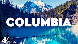 Top 10 Best Things To Do in Columbia, South Carolina [Columbia Travel Guide 2026]