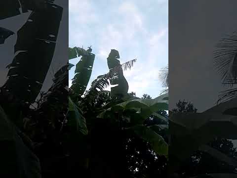 BEM VINDO JULHO 💚 CÉLULA RENASCER MACAMBIRA SERGIPE 💚 VEM RENASCER 💚