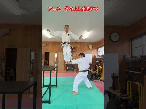 【武道・武術】漫画やアニメである拳の上に達人が乗るやつ！？できるかやってみた！！#aikido  ＃karate #martial #武道 #空手＃筋トレ