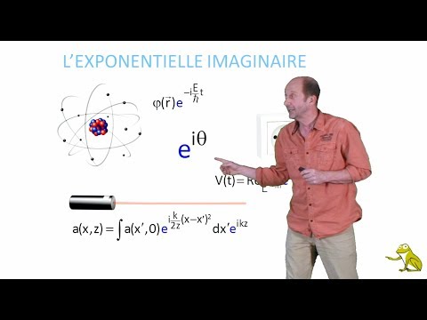 La fonction exponentielle imaginaire
