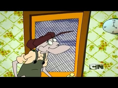 Eustachy funny moments pl