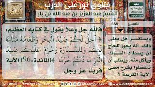 صورة 1688 - تفسير قوله تعالى (أحل لكم صيد البحر..) نور على الدرب