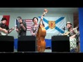 SADDLE RIVER STRING BAND - COUNTY FARM BLUES LIVE