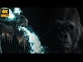 KING KONG 2025 FULL HD King Kong Zombie Arena