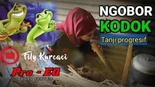 Download lagu NGOBOR KODOK versi TANJI progresif INA SALSA x Fily Kurcaci Musik LIVE SESSIONS || tatalu di saung mp3
