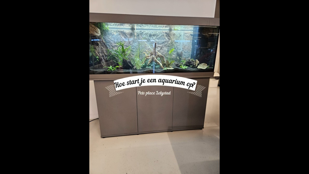 Hoe start je een aquarium op?
