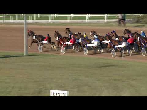 2019.09.21. 08. futam  - LABDARÓZSA HENDIKEP