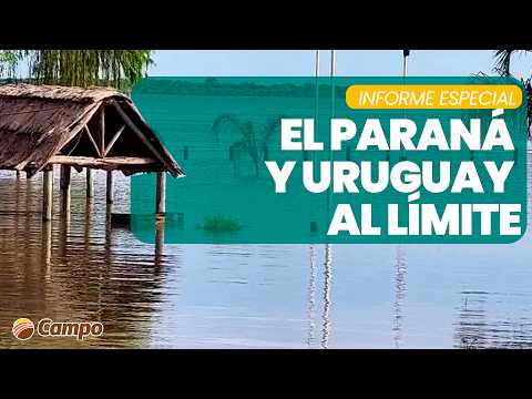 LITORAL CAMPO | El Río Paraná y el Uruguay superan niveles de alerta
