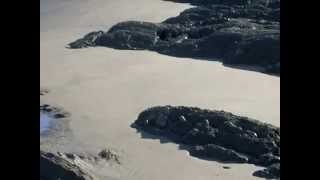 YES Give Love Each Day with LYRICS