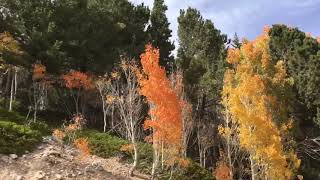 preview picture of video 'Great Basin National Park in fall'