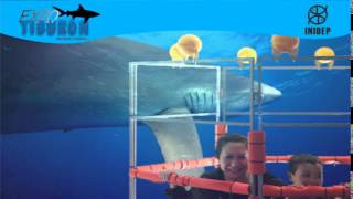 DIA 2 Expo Tiburon99