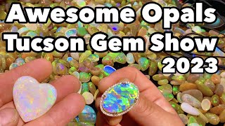 Awesome Opals at the Tucson Gem Show 2023 w/ A&S OPAL, Spencer Opal Mines, Ethiopian Goodies
