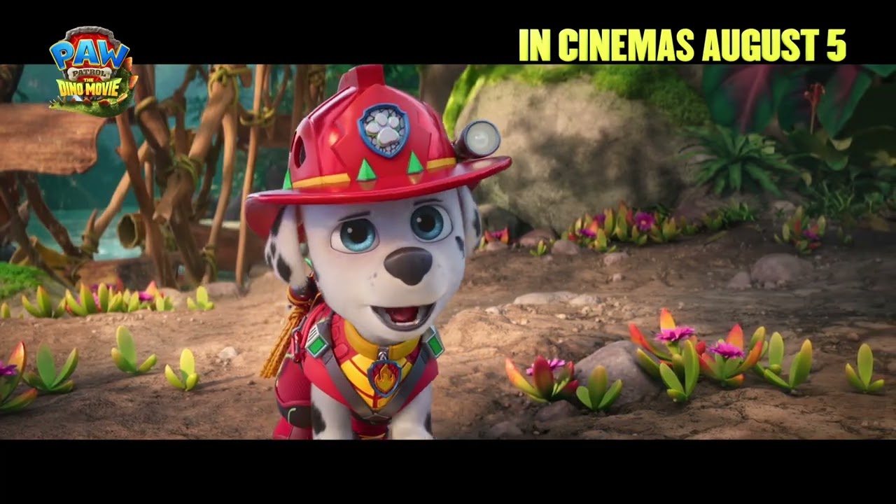 Video náhled