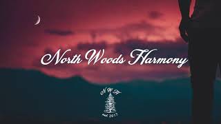 Million Dollar Bill - Middle Brother