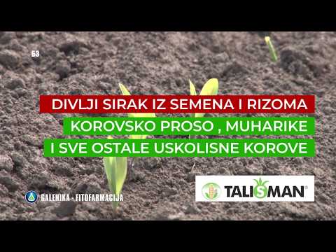 GALENIKA FITOFARMACIJA - najjeftnije PRSKANJE KUKRUZA a da ima smisla  - EU registrovani preparati