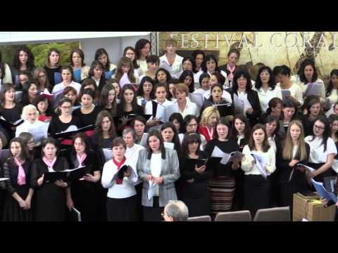 Corurile Reunite Transilvania Sud - Ascultati Strajerul cheama