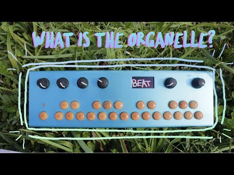 SHOULD YOU BUY THIS? | MAKING A SPICY BEAT 🌶️ USING THE ORGANELLE