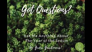 The Ultimate Guide to Growing Sedum: 2026 Year of the Sedum Expert Webinar