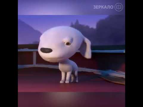 Best message from dog