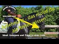 F27 Pferde Mit Feiner Anlehnung Am Zügel Reiten Lernen Kriterien Fehler Die Feine Zügelhilfe