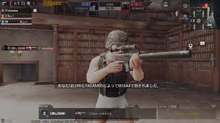 久しぶりにPUBGをやったら・・・