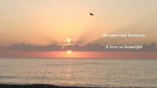 Michael Bolton - A Love So Beautiful (Lyrics)