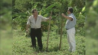 Video Planto La Pala Compadre  de Aldo Peña