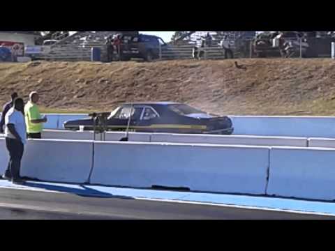 Runnin wild again(41)